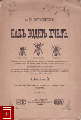 антикварная книга Как водить пчёл, Бутлеров А М, 1885, , книга, купить,  аннотация, читать, старинная книга: фото №1