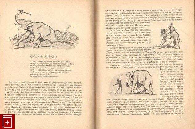 антикварная книга Маугли  Из книги джунглей, Киплинг Редьярд, 1926, , книга, купить,  аннотация, читать, старинная книга: фото №4