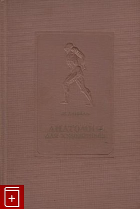 антикварная книга Анатомия для художников, Дюваль Матиас, 1940, , книга, купить,  аннотация, читать, старинная книга: фото №1