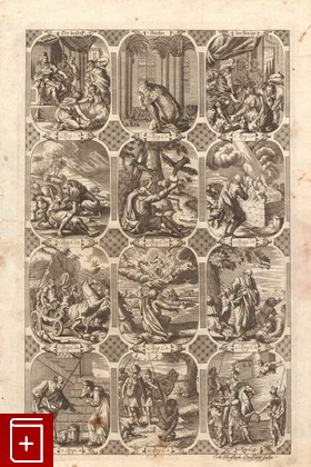 Первая книга Царств  Гравюра, Claussner J  C, 1768, , книга, купить,  аннотация, читать: фото №1