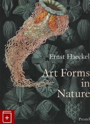 книга Art Forms in Nature: Prints of Ernst Haekel, , 2005, 3-7913-1990-6, книга, купить,  аннотация, читать: фото №1