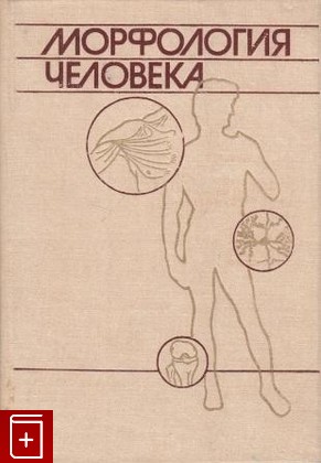 книга Морфология человека, , 1983, , книга, купить,  аннотация, читать: фото №1