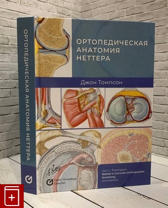 книга Ортопедическая анатомия Неттера Томпсон Д  2022, 978-5-299-01147-0, книга, купить, читать, аннотация: фото №1