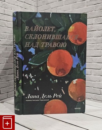 книга Вайолет, склонившаяся над травою Лана Дель Рей 2023, 978-5-00195-955-7, книга, купить, читать, аннотация: фото №1