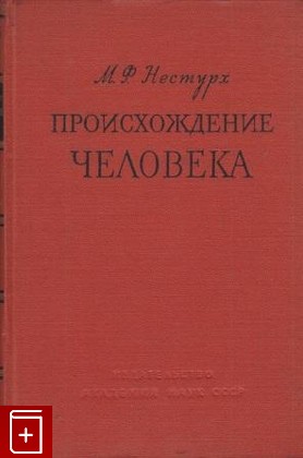 книга Происхождение человека, Нестурх М Ф, 1958, , книга, купить,  аннотация, читать: фото №1