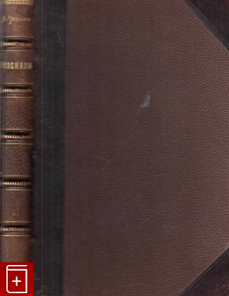 антикварная книга Рассказы, Чехов А П, 1899, , книга, купить,  аннотация, читать, старинная книга: фото №1