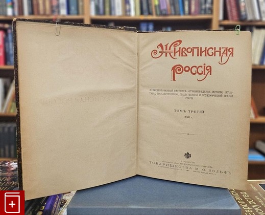 антикварная книга Живописная Россия  Том 3  1903, , книга, купить, читать, аннотация, старинная книга: фото №2