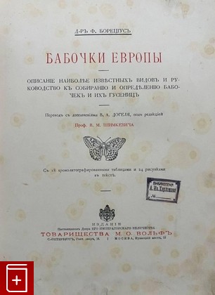 антикварная книга Бабочки Европы Борециус Ф  1904, , книга, купить, читать, аннотация, старинная книга: фото №2
