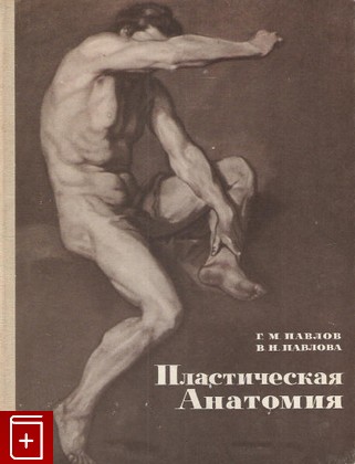 книга Пластическая анатомия Павлов Г М  1967, , книга, купить, читать, аннотация: фото №1