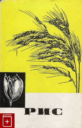 книга Рис, , 1968, , книга, купить,  аннотация, читать: фото №1