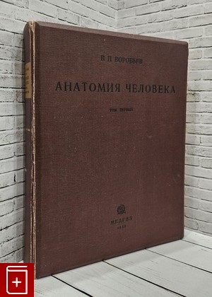 книга Анатомия человека  Том первый  Воробьев В П  1932, , книга, купить, читать, аннотация: фото №1