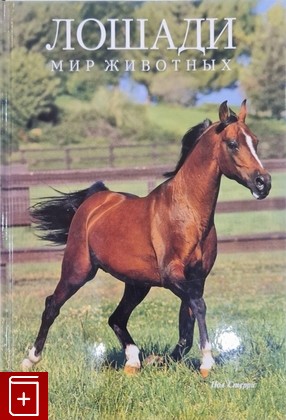 книга Лошади Стерри Пол 1998, 985-407-021-2, книга, купить, читать, аннотация: фото №1