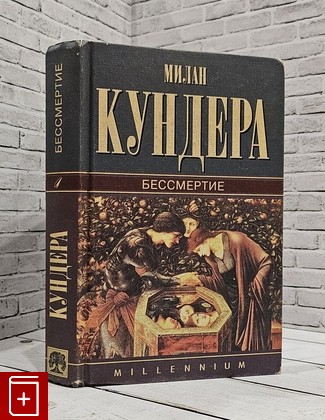 книга Бессмертие Кундера Милан 1999, 5-8301-0024-X, книга, купить, читать, аннотация: фото №1