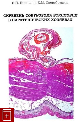 книга Скребень Corynosoma strumosum в паратенических хозяевах: Взаимоотношения на организменном уровне в природе и эксперименте Никишин В , Скоробрехова Е  2020, 978-5-907372-07-8, книга, купить, читать, аннотация: фото №1