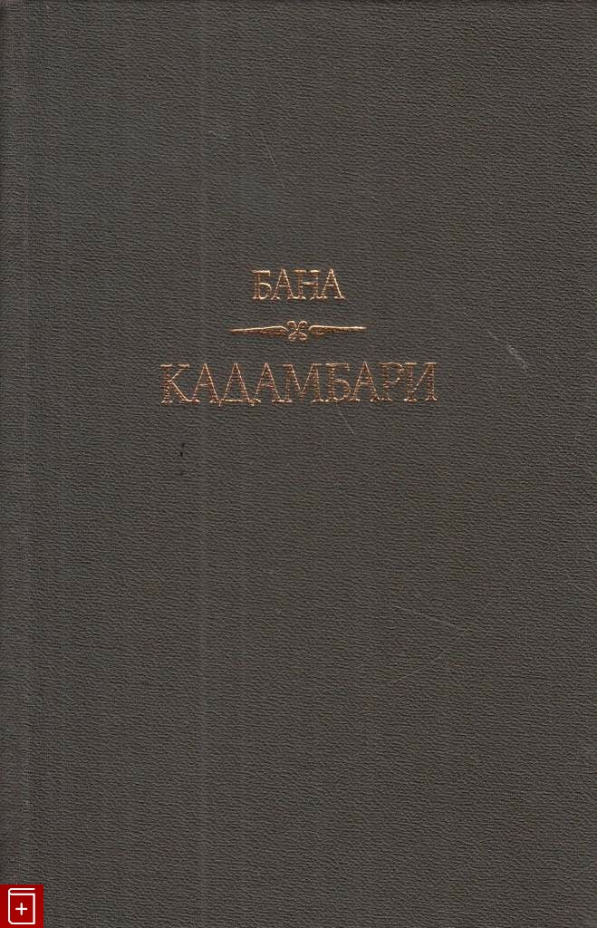Сочинение по теме Кадамбари (Kadambari)