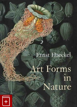 книга Art Forms in Nature, Ernst Haeckel, 2004, , книга, купить,  аннотация, читать: фото №1