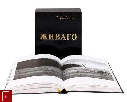 книга Доктор Живаго, Пастернак Борис, 2003, , книга, купить,  аннотация, читать: фото №1