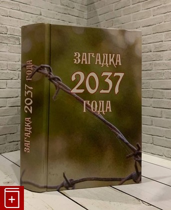книга Загадка 2037 года  2016, 978-5-4225-0115-1, книга, купить, читать, аннотация: фото №1