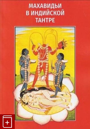 книга Махавидьи в индийской Тантре Кинсли Дэвид 2022, 978-5-94396-228-8, книга, купить, читать, аннотация: фото №1