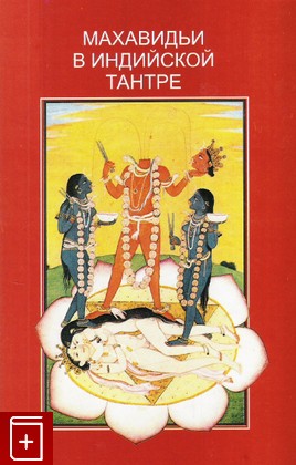 книга Махавидьи в индийской тантре, Кинсли Дэвид, 2008, 978-5-903931-04-0, книга, купить,  аннотация, читать: фото №1