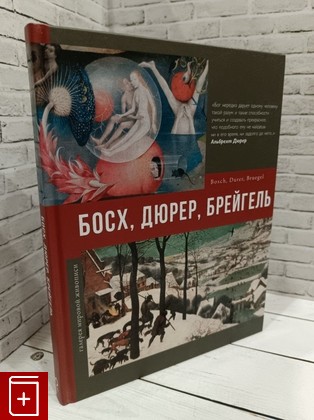 книга Босх, Дюрер, Брейгель Рачеева Е  2022, 978-5-17-138445-6, книга, купить, читать, аннотация: фото №1