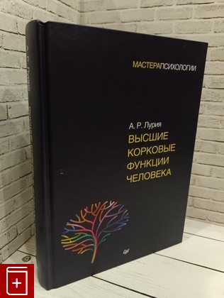 книга Высшие корковые функции человека Лурия А Р  2020, 978-5-4461-0836-7, книга, купить, читать, аннотация: фото №1