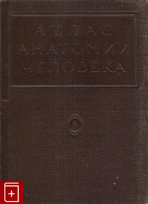 книга Атлас анатомии человека  Том 2, Воробьев В П, 1948, , книга, купить,  аннотация, читать: фото №1