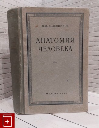 книга Анатомия Человека Колесников Н В  1955, , книга, купить, читать, аннотация: фото №1