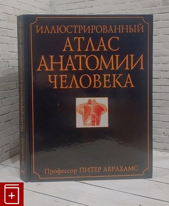 книга Иллюстрированный атлас анатомии человека Абрахамс Питер 2003, 5-88353-194-6, книга, купить, читать, аннотация: фото №1