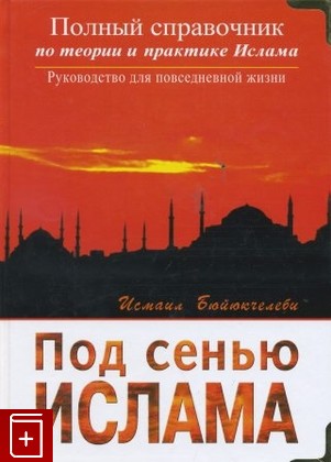 книга Под сенью Ислама, Бюйюкчелеби  Исмаил, 2006, , книга, купить,  аннотация, читать: фото №1