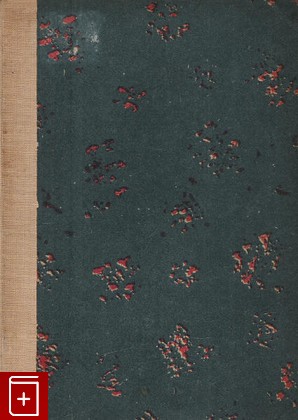 антикварная книга Безумный поезд, Пулаль Анри, 1928, , книга, купить,  аннотация, читать, старинная книга: фото №1