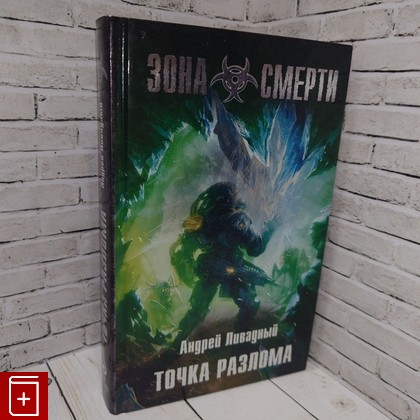 книга Точка разлома Ливадный А Л  2011, 978-5-699-48234-4, книга, купить, читать, аннотация: фото №1