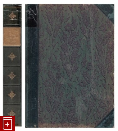 антикварная книга Das Buch vom Rhein  Книга о Рейне, Holscher Georg, 1925, , книга, купить,  аннотация, читать, старинная книга: фото №1