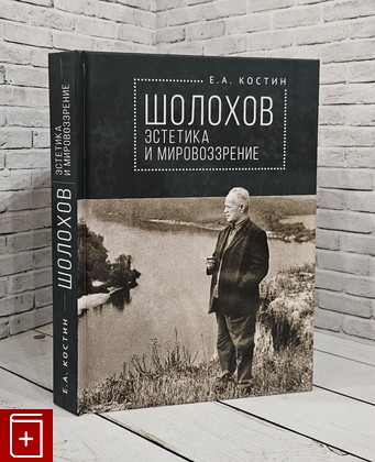 книга Шолохов: эстетика и мировоззрение Костин Е А  2020, 978-5-00165-077-5, книга, купить, читать, аннотация: фото №1