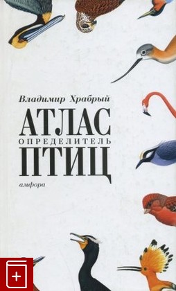 книга Атлас-определитель птиц, Храбрый В, 2006, , книга, купить,  аннотация, читать: фото №1